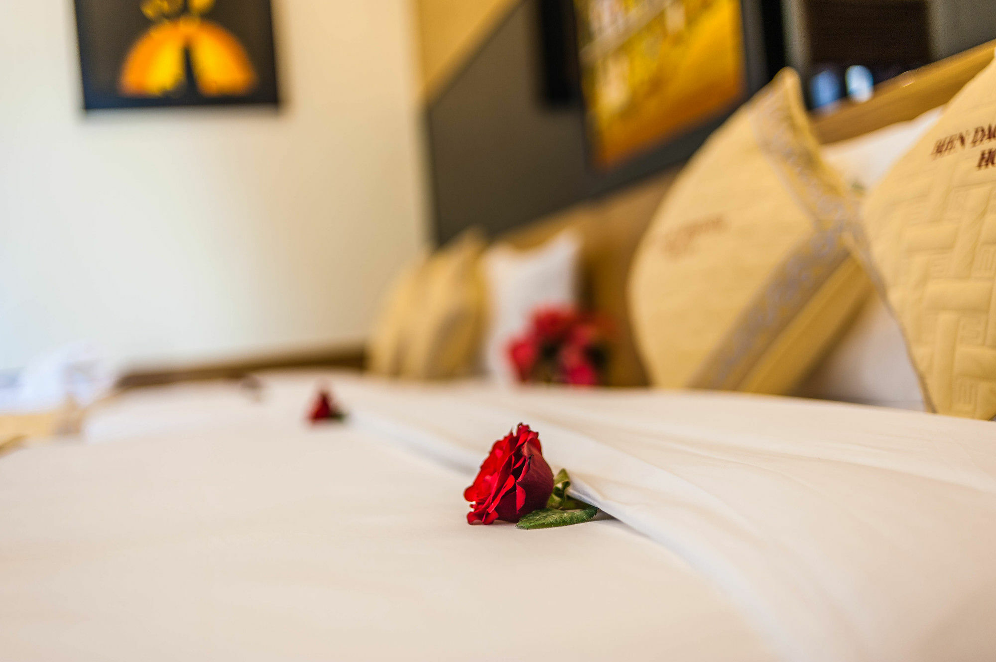 Bien Dao Homestay Hoi An Luaran gambar